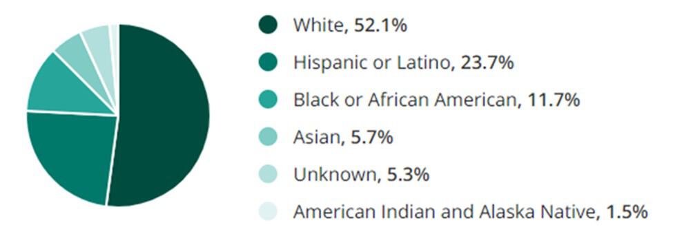 Security Clearance Jobs Race Demographic Chart