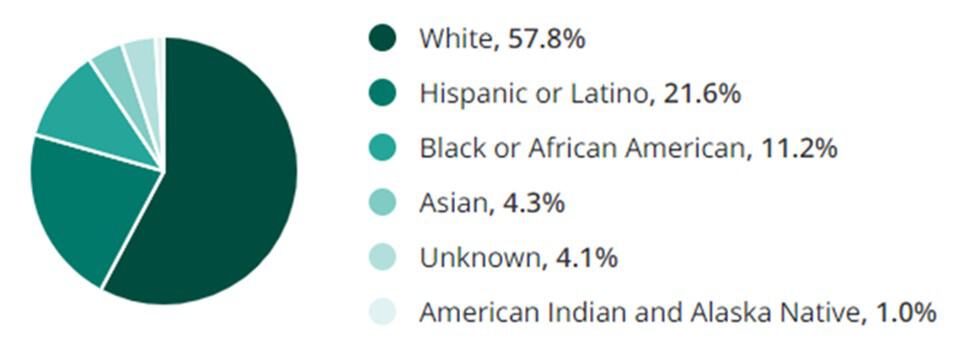 Skilled Labor Jobs Race Demographic Chart