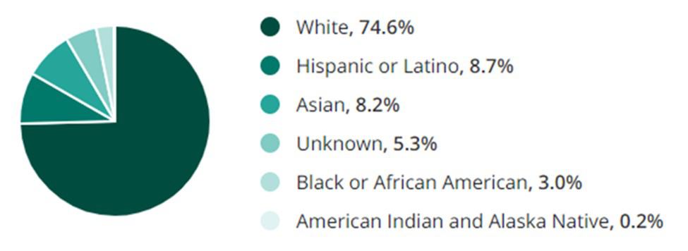 Strategy Planning Jobs Race Demographic Chart