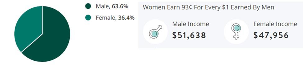 Telecommunications Jobs Gender Demographic Chart