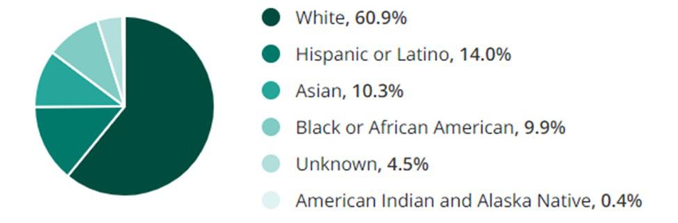 Telecommunications Jobs Race Demographic Chart