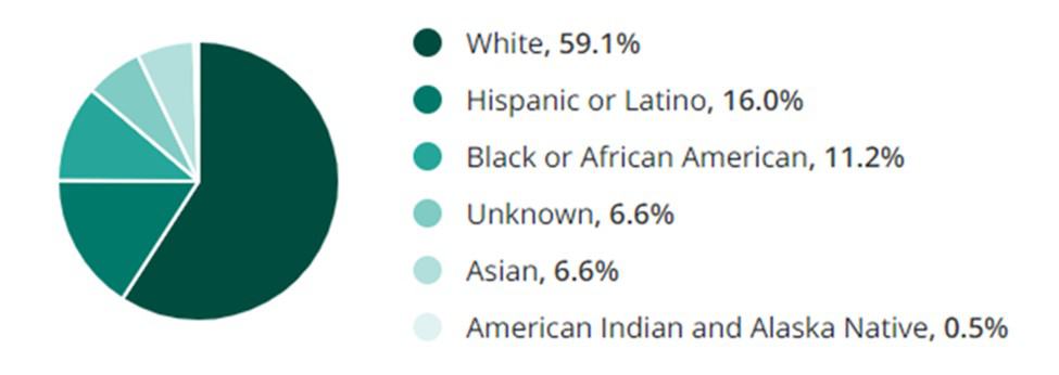 Training Jobs Race Demographic Chart