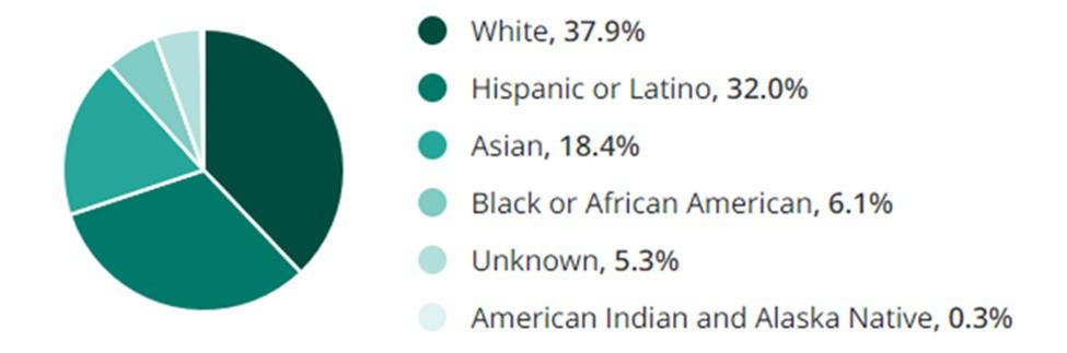 Translation Jobs Race Demographic Chart