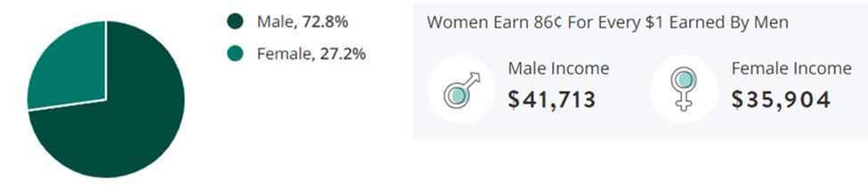 Transportation Jobs Gender Demographic Chart