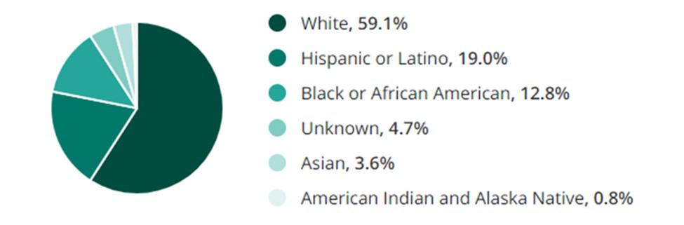 Transportation Jobs Race Demographic Chart