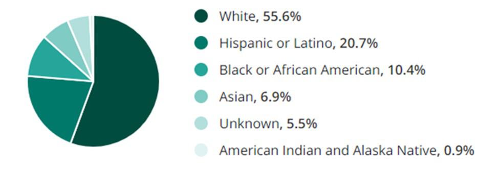 Warehousing Logistics Jobs Race Demographic Chart