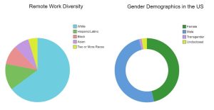 Remote Work Gender and Diversity Demographic