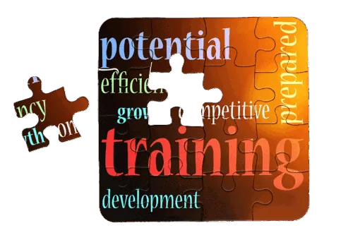 Filling the AI Skills Gap… Without Breaking your Bank