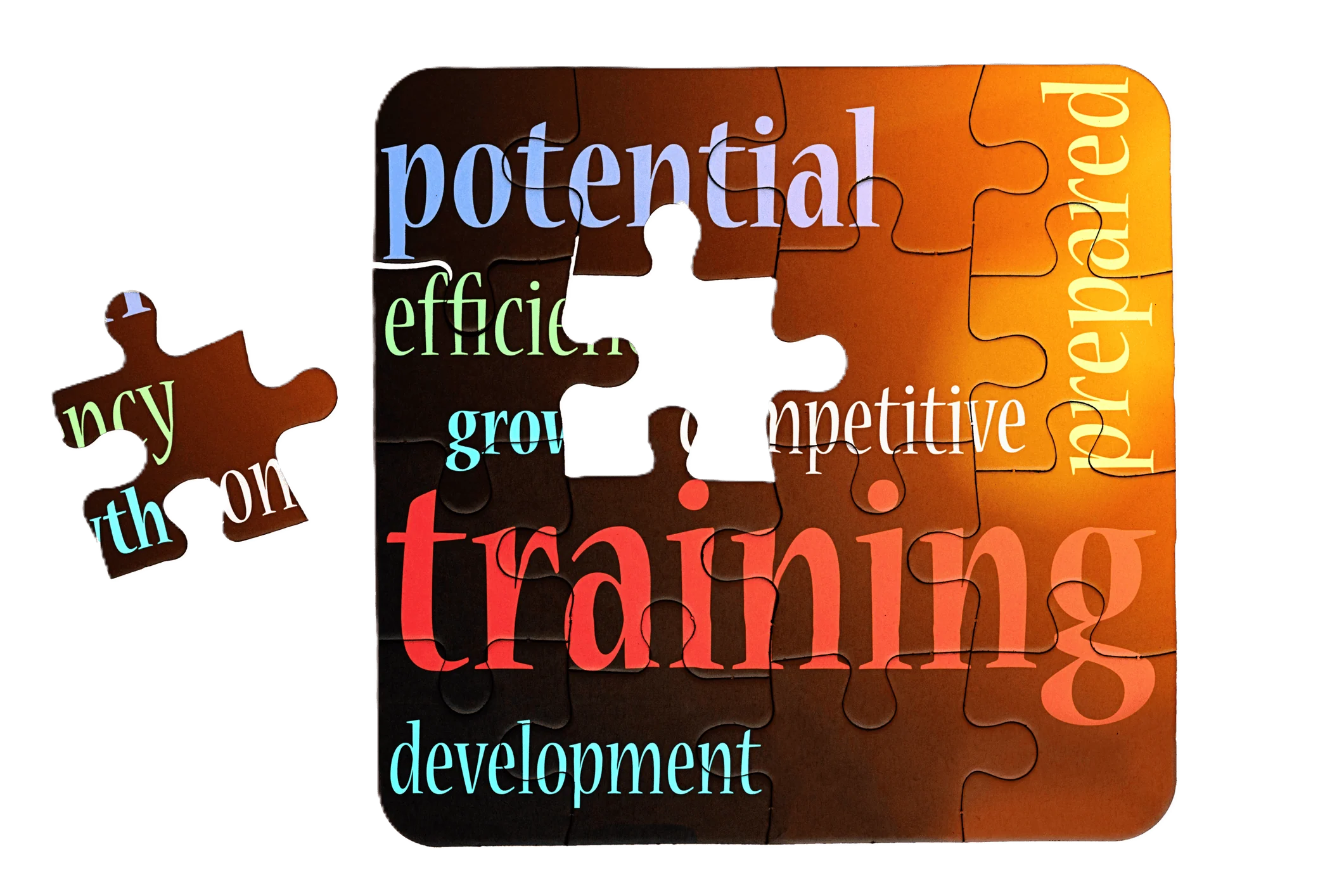 Filling the AI Skills Gap… Without Breaking your BankFeatured Image
